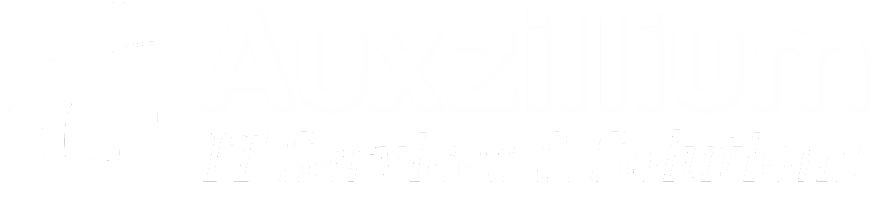 Keep Systems Running with Resilient Boston Network Support Services